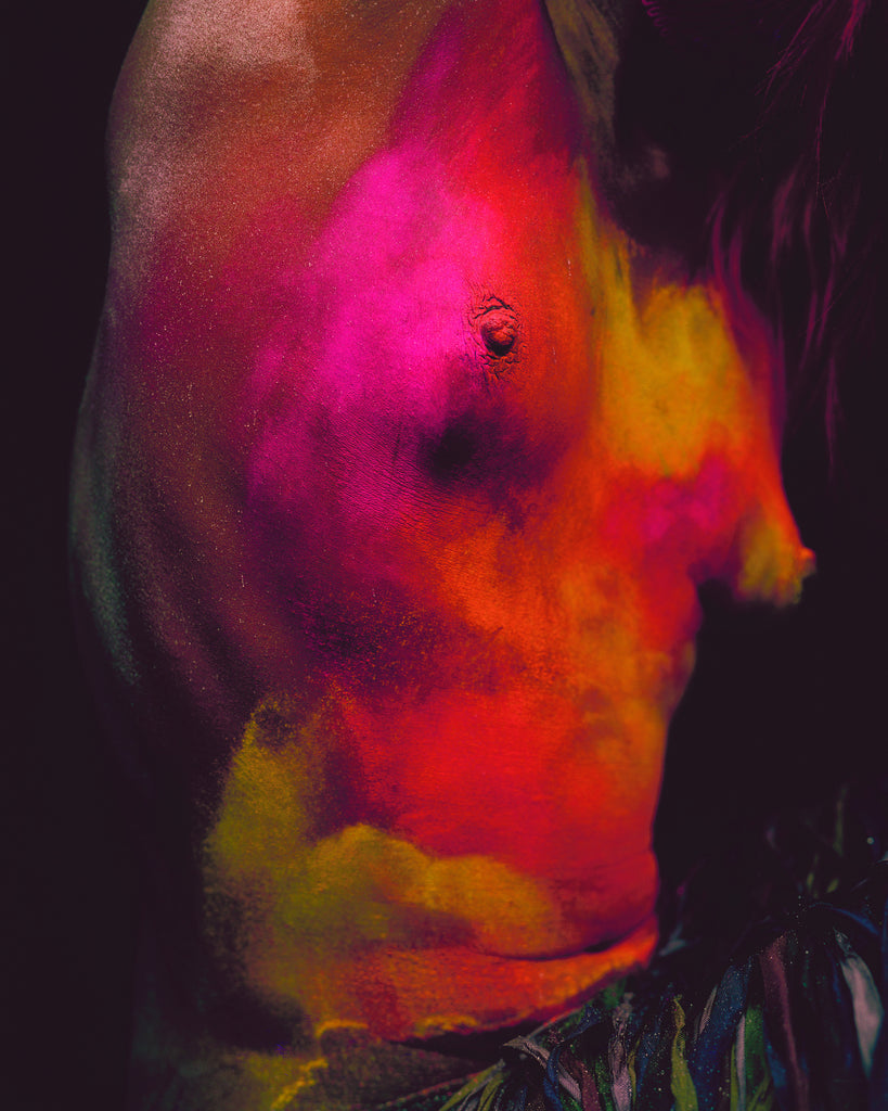 pink, paint, fine art, diego uchitel prints, clara, feathers