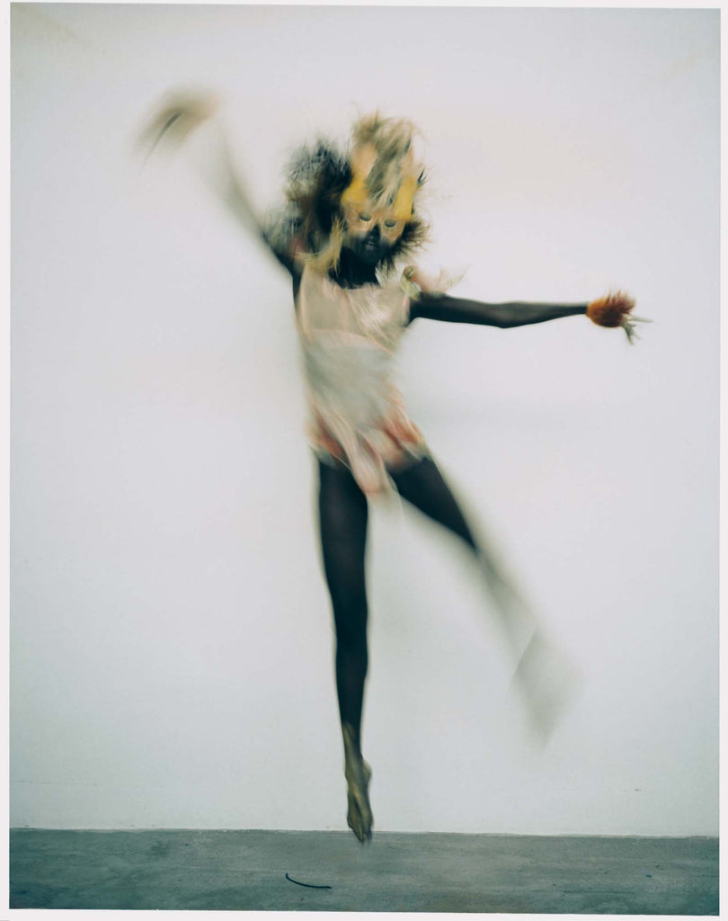 Diego Uchitel Prints, Clara Benjamin, film, feathers, blur, gallery, fine art, art prints, limited edition